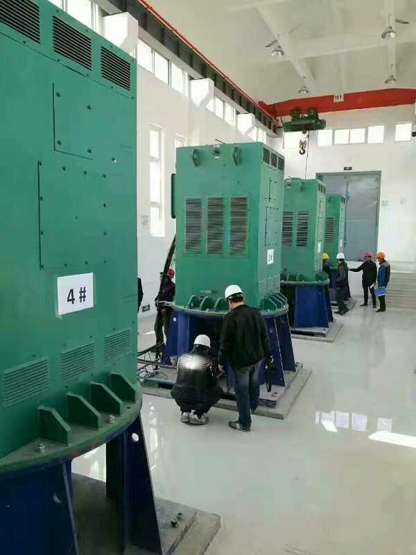 国营广坝农场某污水处理厂使用我厂的立式高压电机安装现场
