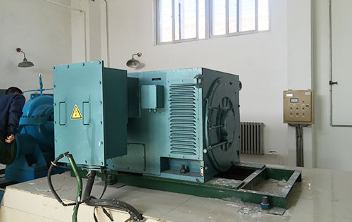 国营广坝农场某水电站工程主水泵使用我公司高压电机