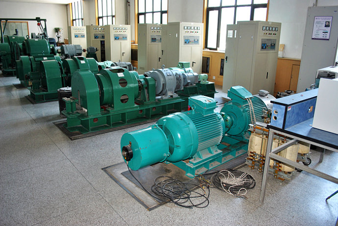 国营广坝农场某热电厂使用我厂的YKK高压电机提供动力